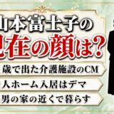 山本富士子の現在の顔は91歳のCMで見られる!老人ホーム説を生んだスーパー・コート出演